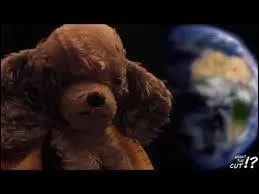 Comment s'appelle sa fidèle peluche ?