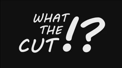 Quel a été le premier épisode de "WHAT THE CUT" ?