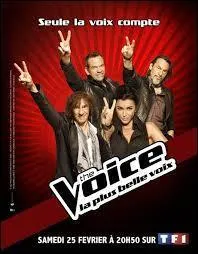 Comment s'appellent ces 4 coachs qui ont jugé les prestations ?