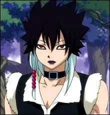 De quelle guilde vient ce personnage ?