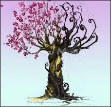 Qu'est-ce que l'arbre de vie ?