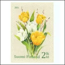 Avez-vous reconnu ces fleurs de la famille des "liliacées" ? Si oui, vous n'aurez aucun mal à me citer le nom du pays européen dont elles sont l'un des emblèmes :