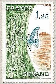 Saurez-vous me donner le code départemental correspondant à cette région et département d'outre-mer ?