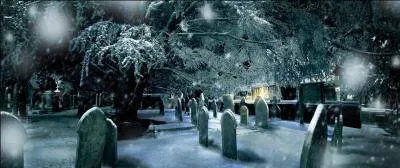 Albus Dumbledore ne connaît pas une enfance facile. Son père est emprisonné à Azkaban pour un mauvais usage de la magie. Sa mère décide donc de partir pour s'installer dans un village de sorciers. Comment s'appelle ce village ?