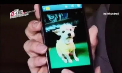 Quel est le nom du chien de Suho ?