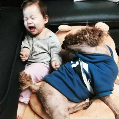 Lequel des membres a une nièce ? (nièce dont on n'a pas la confirmation)