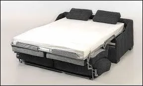 Lequel de ces mots ne désigne pas un canapé qui peut se transformer en lit ?