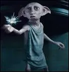Qui libère Dobby ?