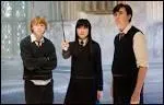 Quel est le nom du meilleur ami de Harry Potter ?