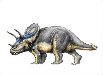 Quel est ce dinosaure à 3 cornes ?