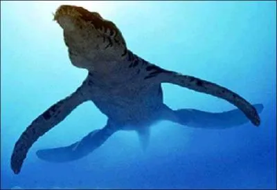 Plongeons maintenant sous l'océan : quel est ce prédateur redoutable, né au Jurassique ?