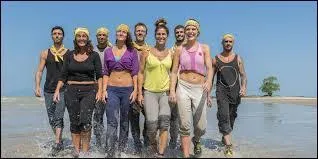 Quel nom avait l'&eacute;quipe des jaunes ?