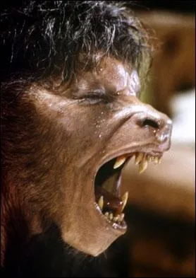 Après une visite de la lande anglaise, une visite à l'hôpital s'impose, mais il en profitera pour visiter la ville, en particulier le métro et le zoo !