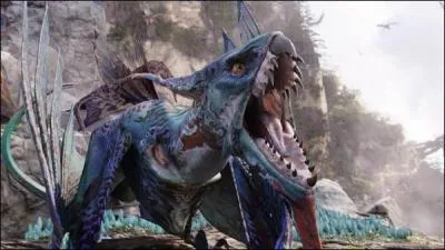 Pour le chevaucher, il faut d'abord le dompter !