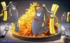 Lequel de ces chanteurs belges a chanté "Polo aime les moules frites, sans frites et sans mayo" ?