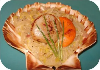 Quelle est la durée moyenne de vie pour une coquille Saint-Jacques ?