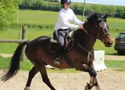 Quiz Galop 1