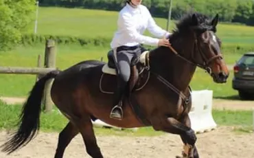 Quiz Galop 1
