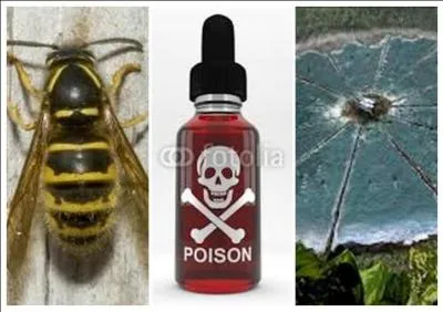 Lors des spots de propagande, que dit Finnick sur ce qu'il a fait à ses adversaires ?