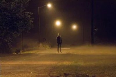 Un couple, Kristen et James, séjourne dans une vieille maison de famille isolée. C'est le début d'une nuit cauchemardesque pour eux ; un homme et une femme aux visages masqués essayent de pénétrer dans la maison.