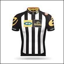 MTN-Qhubeka, c'est :