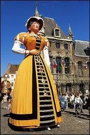 Dans quelle région française les géants sont-ils les stars des défilés ?