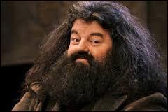Comment s'appelle le géant demi-frère de Hagrid dans Harry Potter ?