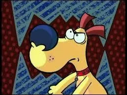 Quelle est la phrase favorite de Corneil ?