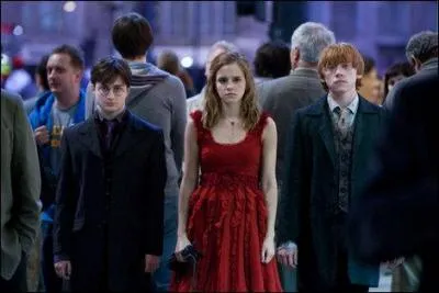 Dans la panique générale, Hermione Granger agrippe les mains de Harry Potter et Ron Weasley pour quitter le Terrier. Les trois amis se retrouvent sur une avenue londonnienne moldue. Comment s'appelle-t-elle ?