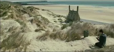 En ce qui concerne les jeunes mariés, Bill Weasley et Fleur Delacour fuient pour se réfugier à la Chaumière aux Coquillages que l'on aperçoit dans "Harry Potter et les Reliques de la Mort" (Partie II). Quel est le gardien du secret permettant au jeune couple de vivre en sécurité des troupes loyales à Lord Voldemort jusqu'à la fin de la guerre ?