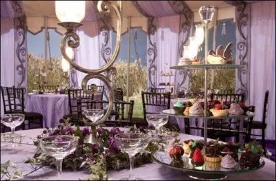 Le 1er août 1997, à 15 heures précisément, le mariage de Bill Weasley et de Fleur Delacour peut commencer. Quel personnage de la saga a pourtant refusé de venir assister au mariage alors qu'il était invité ?