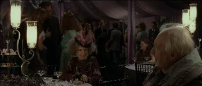 Lors de la cérémonie, Fleur Delacour portait la tiare de Muriel Weasley en hommage à la famille Weasley. Quel est le lien de parenté entre Muriel Weasley et Molly Weasley ?