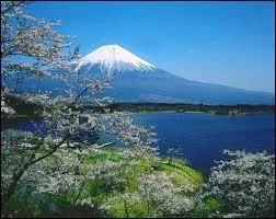 On peut dire du premier qu'il a été et du second qu'il est couché. Le troisième est le "oui" allemand et le dernier est une ferme provençale. Le tout est un volcan, point culminant du...