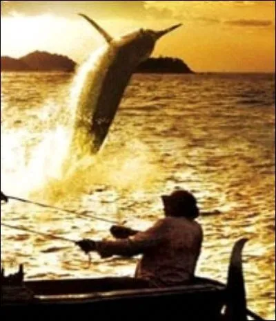 Quel auteur, amoureux de Cuba, nous raconte les aventures d'un vieux pêcheur cubain appelé Santiago, en lutte avec un énorme marlin au large du Gulf Stream ?