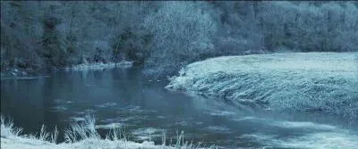 Alors qu'ils ont récupéré ce fameux médaillon, Harry Potter, Ron Weasley et Hermione Granger sont démasqués et pris en chasse par Yaxley. Hermione Granger tente de revenir à leur repaire mais Yaxley s'accorche au bras de Hermione Granger alors qu'elle transplane. Elle doit alors modifier le lieu de leur évasion. Où le trio se retrouve-t-il ?