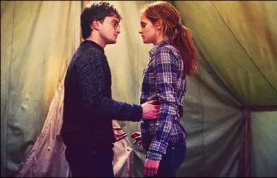 Les jours suivants, le trio tente de détruire sans succès le médaillon de Salazar Serpentard. Hermione Granger apprend aussi à Harry Potter que le vif d'or confié par Albus Dumbledore a, comme tous les vifs d'or, une mémoire et s'ouvre au sorcier qui l'a attrapé la première fois. Un soir, Hermione Granger annonce à Harry Potter que l'épée de Godric Gryffondor pourrait être la clé. Pourquoi ?