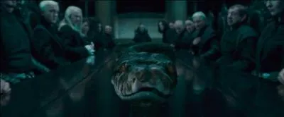 Ne s'adressant uniquement qu'à Harry Potter, Bathilda Tourdesac emmène le jeune homme à l'étage lorsqu'un événement pour le moins imprévu se produit. Mais que se passe-t-il ?