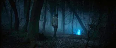 Une fois revenus dans leur camp de base, Hermione Granger et Harry Potter commencent à percer le mystère des reliques de la mort. Une nuit, alors que Harry Potter monte la garde, il aperçoit un Patronus. Quel animal est symbolisé par ce Patronus ?