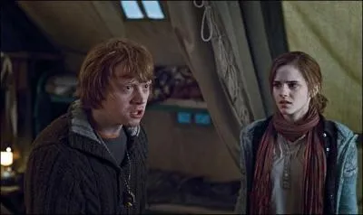 Ron Weasley retrouve donc aussi Hermione Granger au matin. Malgré quelques petites disputes, Ron Weasley révèle à ses amis le véritable pouvoir du Déluminateur d'Albus Dumbledore. Quel est-il ?