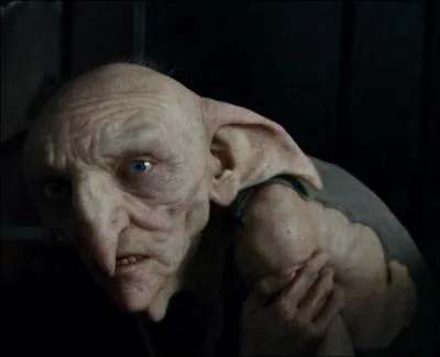 Sur place, Harry Potter et ses amis trouvent l'elfe de maison Kreattur et apprennent qu'il avait essayé, avec son maître Regulus Arcturus Black, de détruire le médaillon de Salazar Serpentard. Où se trouvait le médaillon au départ ?