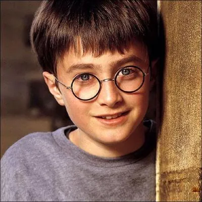 Quel acteur joue le rôle d'Harry Potter ?