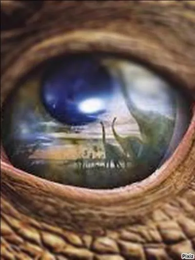 « Coucou, c'est moi, devine ce que je suis et tu trouveras quel est le titre du film dans lequel j'ai joué en 2000. » Trouvez ce titre.