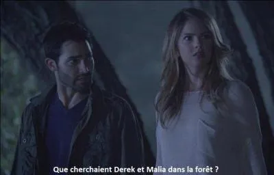 Que cherchaient Derek et Malia dans la forêt ?