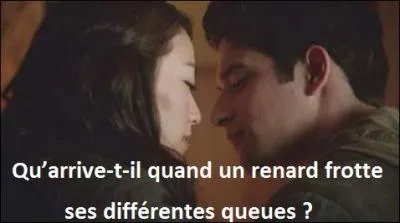 Qu'arrive-t-il quand un renard frotte ses différentes queues ?