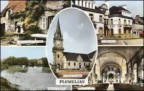 Voici différentes vues de Pluméliau. Commune Morbihannaise, elle se situe en région ...