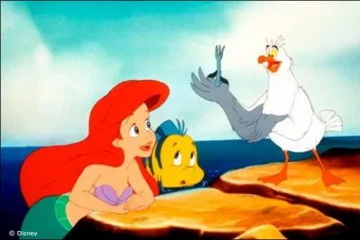 Passionnée par le monde des humains, la petite sirène récupère de nombreux objets au fond de l'océan. Elle demande souvent l'avis de cette mouette, qui n'en connait pas plus qu'elle d'ailleurs. Cette mouette porte un prénom cher à Archimède, lequel est-ce ?