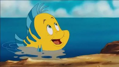 Dans ses aventures, la petite sirène est accompagnée de son ami...