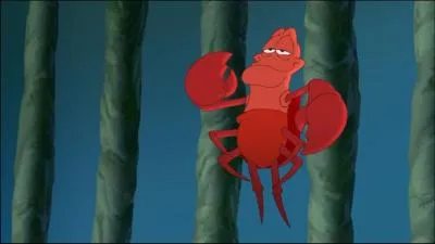 Elle est aussi surveillé de près par ce petit crabe qui se prénomme...