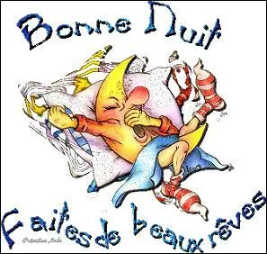 Carbonate de sodium naturel :