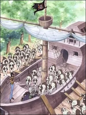 Épisode 136  Zenny a construit un bateau. Où l'a-t-il fait ?